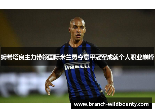 姆希塔良主力带领国际米兰勇夺意甲冠军成就个人职业巅峰