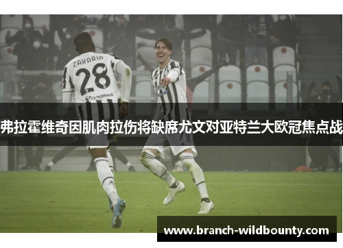 弗拉霍维奇因肌肉拉伤将缺席尤文对亚特兰大欧冠焦点战
